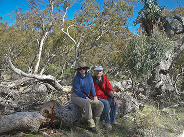 on fallen tree we moved