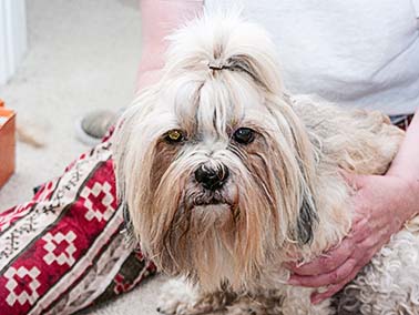the well groomed look