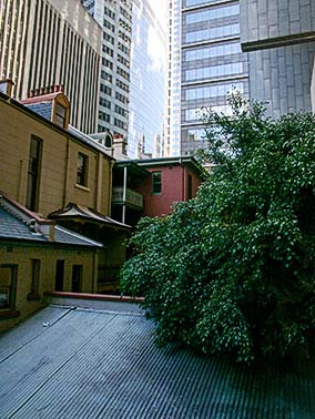 Old/New Sydney