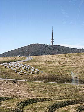 Heide 2