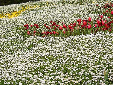 Floriade 2013
