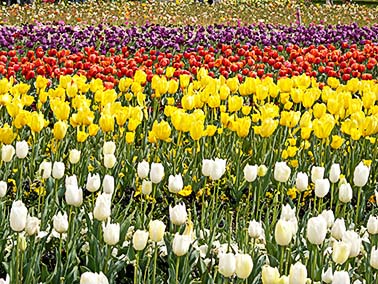 Floriade 2013
