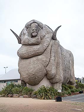 The Big Sheep