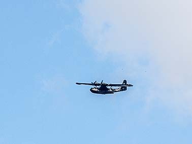 Catalina